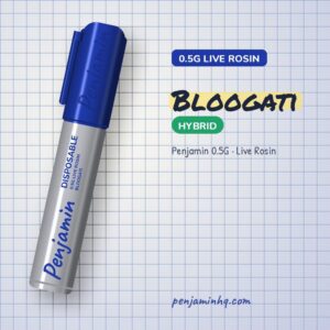Penjamin Bloogati 0.5G Live Rosin Disposable – PenjaminHQ