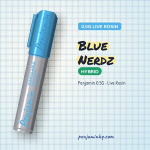 Penjamin Blue Nerdz 0.5G Live Rosin Disposable – PenjaminHQ