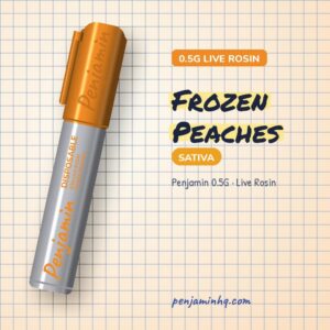 Penjamin Frozen Peaches 0.5G Live Rosin Disposable – PenjaminHQ