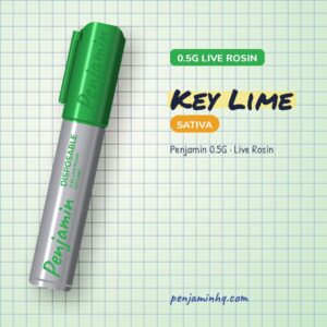 Penjamin Key Lime 0.5G Live Rosin Disposable – PenjaminHQ