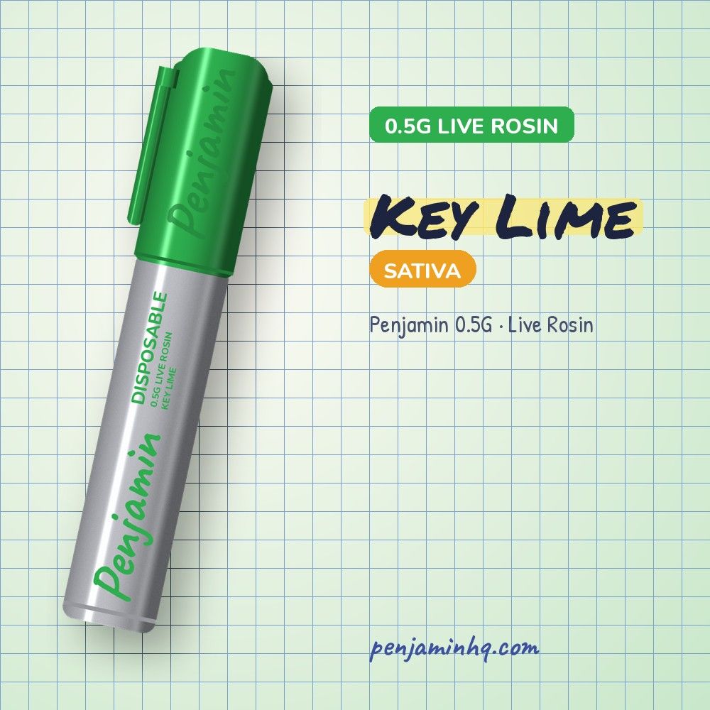 Penjamin Key Lime 0.5G Live Rosin Disposable – PenjaminHQ