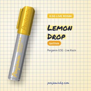 Penjamin Lemon Drop 0.5G Live Rosin Disposable – PenjaminHQ