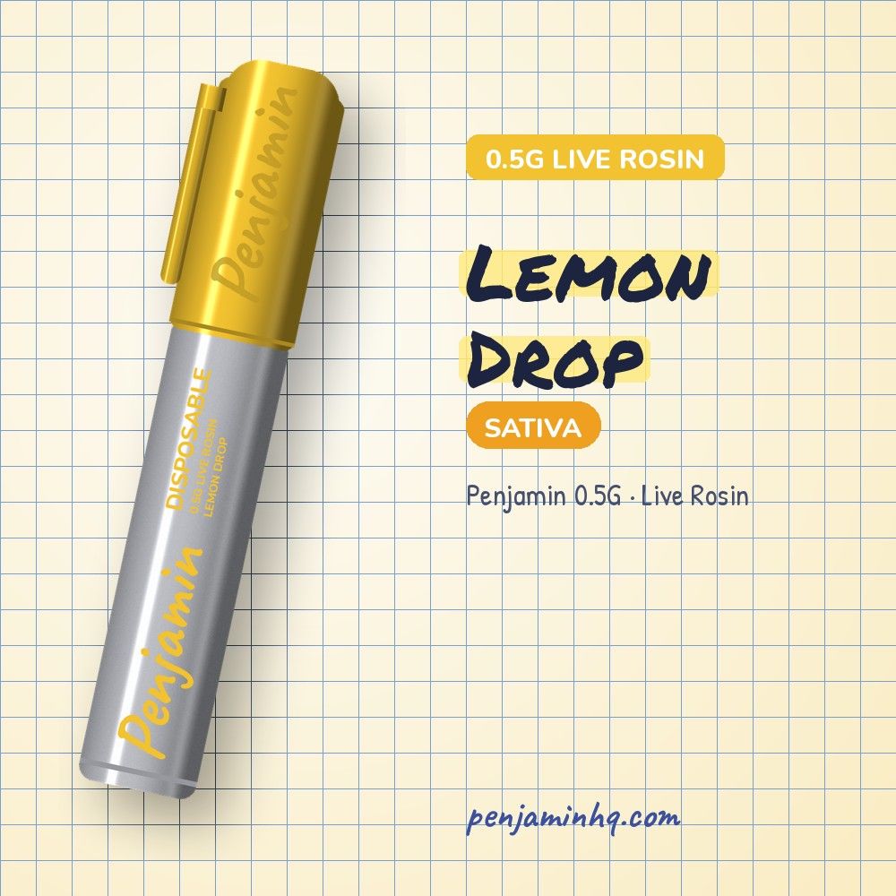 Penjamin Lemon Drop 0.5G Live Rosin Disposable – PenjaminHQ