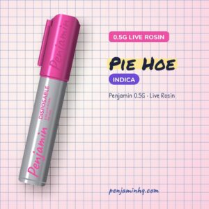 Penjamin Pie Hoe 0.5G Live Rosin Disposable – PenjaminHQ