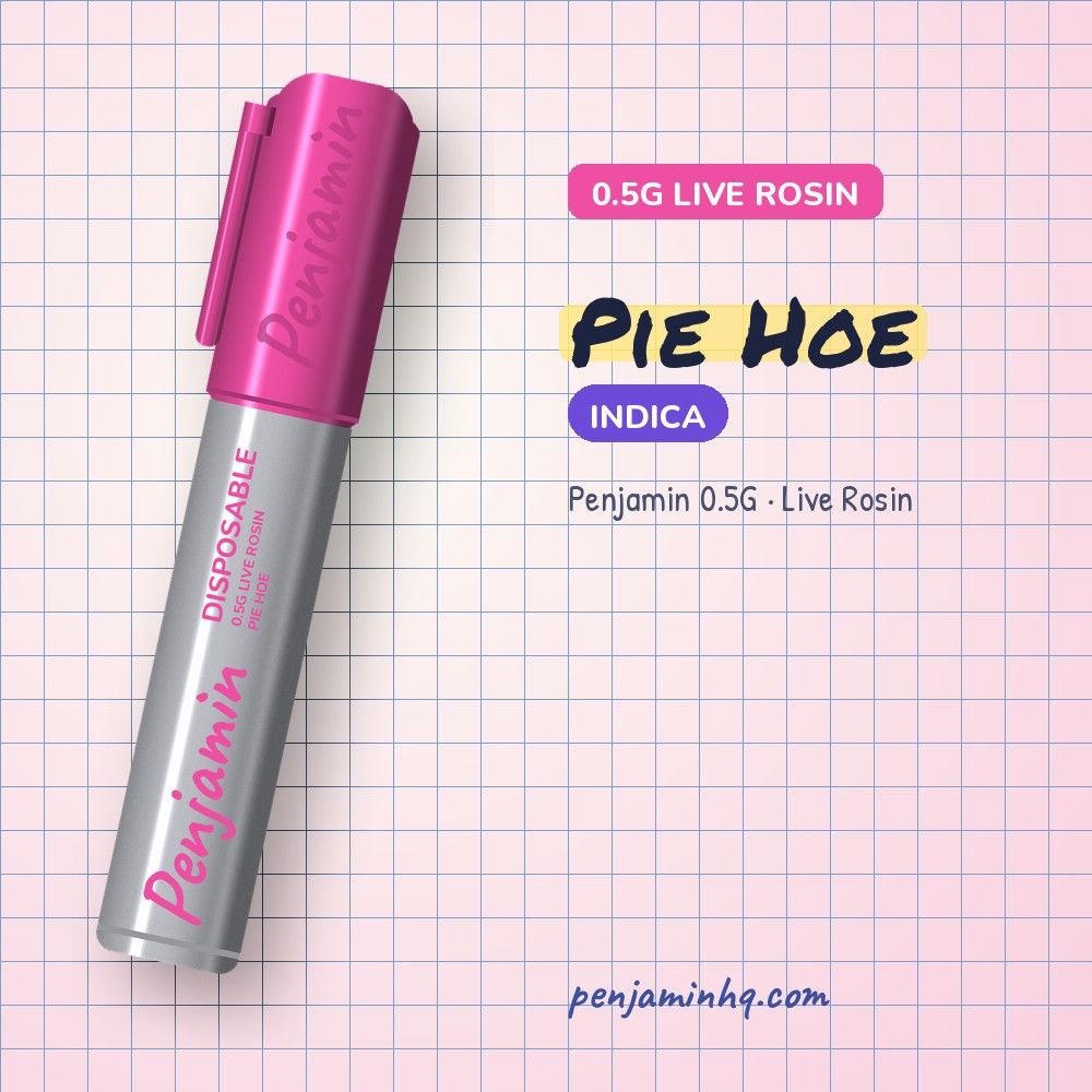 Penjamin Pie Hoe 0.5G Live Rosin Disposable – PenjaminHQ