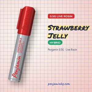 Penjamin Strawberry Jelly 0.5G Live Rosin Disposable – PenjaminHQ