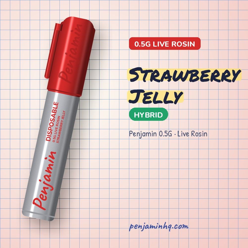 Penjamin Strawberry Jelly 0.5G Live Rosin Disposable – PenjaminHQ