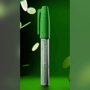 Penjamin Key Lime 2G Liquid Diamonds Disposable – PenjaminHQ