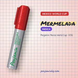 Penjamin Mermelada 0.5G Mexico World Cup Disposable – PenjaminHQ