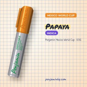 Penjamin Papaya 0.5G Mexico World Cup Disposable – PenjaminHQ