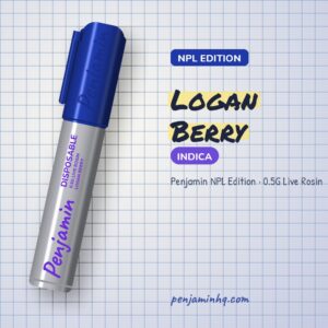 Penjamin Logan Berry NPL Edition 0.5G Live Rosin – PenjaminHQ