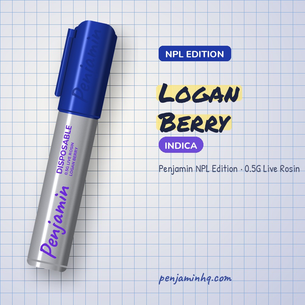 Penjamin Logan Berry NPL Edition 0.5G Live Rosin – PenjaminHQ