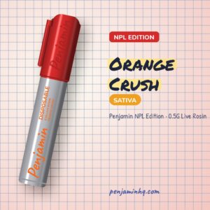 Penjamin Orange Crush NPL Edition 0.5G Live Rosin – PenjaminHQ