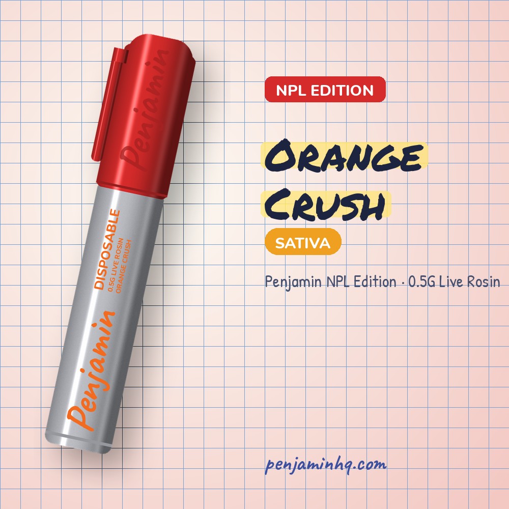 Penjamin Orange Crush NPL Edition 0.5G Live Rosin – PenjaminHQ