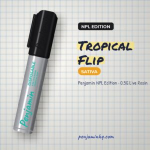 Penjamin Tropical Flip NPL Edition 0.5G Live Rosin – PenjaminHQ