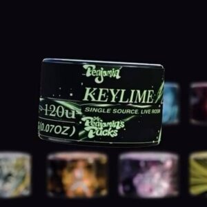 Penjamin's Pucks Key Lime 2G Live Rosin – PenjaminHQ
